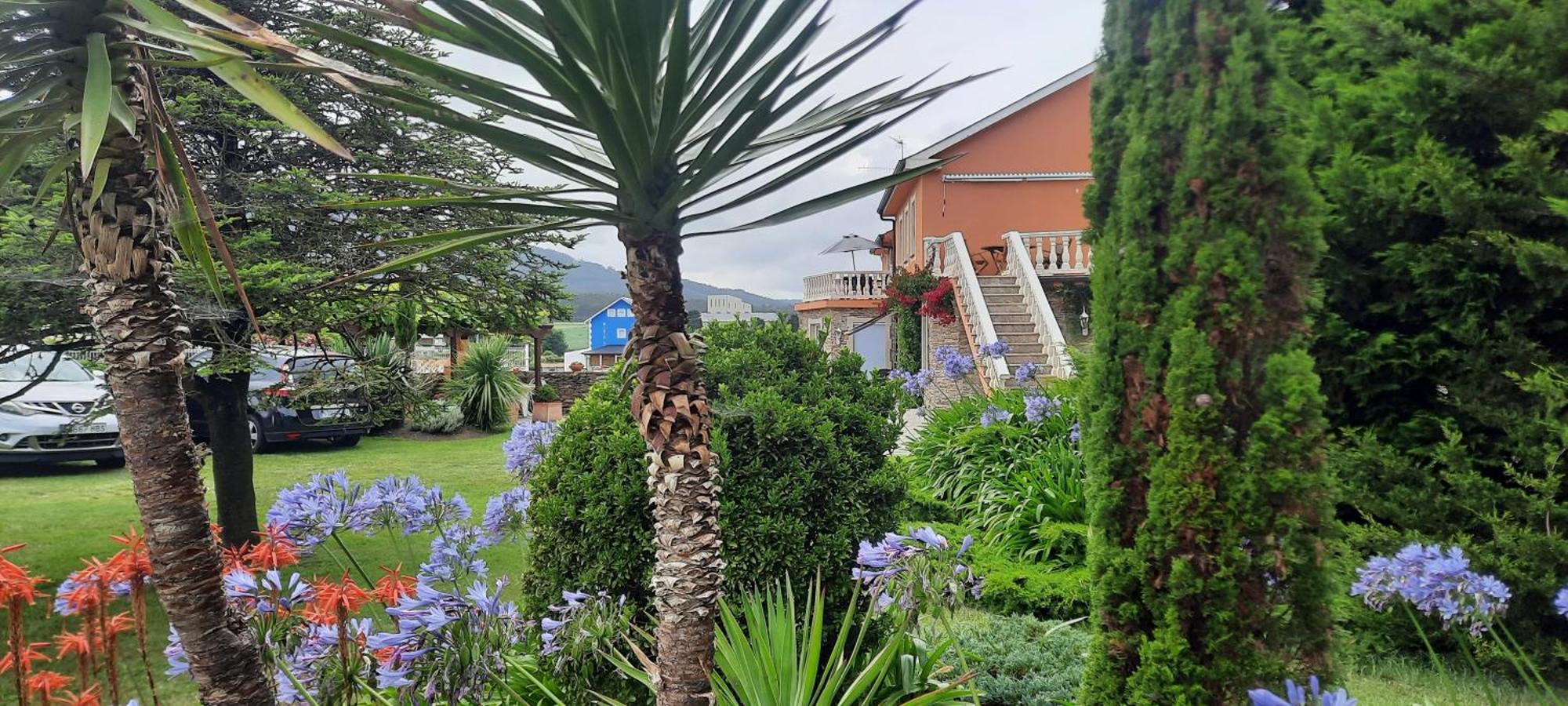 Apartamentos Turisticos Rosa 里瓦德奥 客房 照片